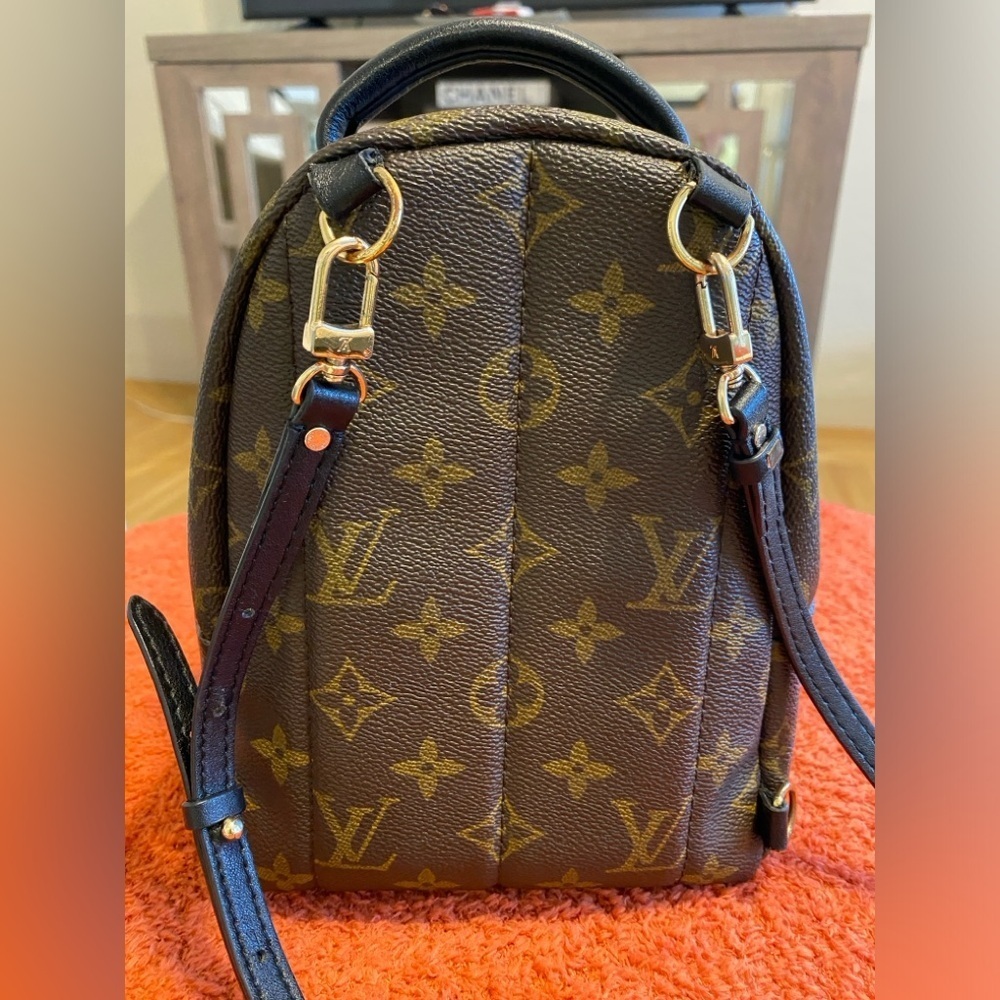 Louis Vuitton Palm Springs Mini backpack - Picture 3 of 6